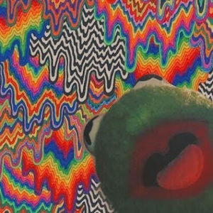 Meet your Posher, Carly